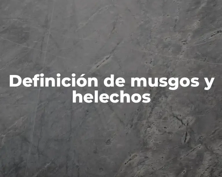 Definición de musgos y helechos