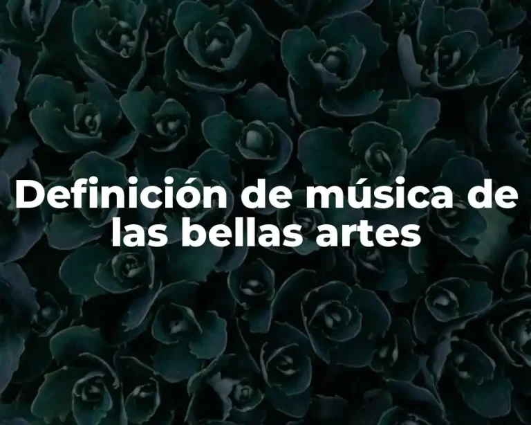 Definición de música de las bellas artes