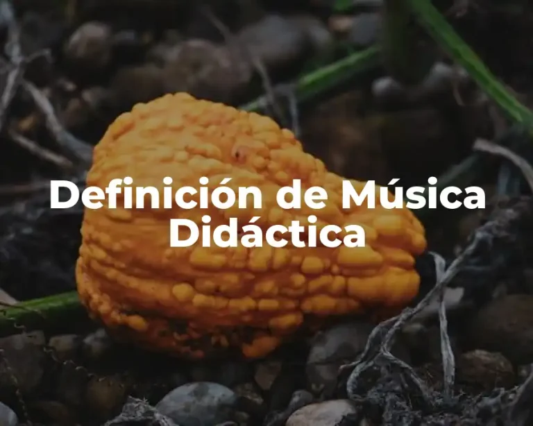 Definición de Música Didáctica