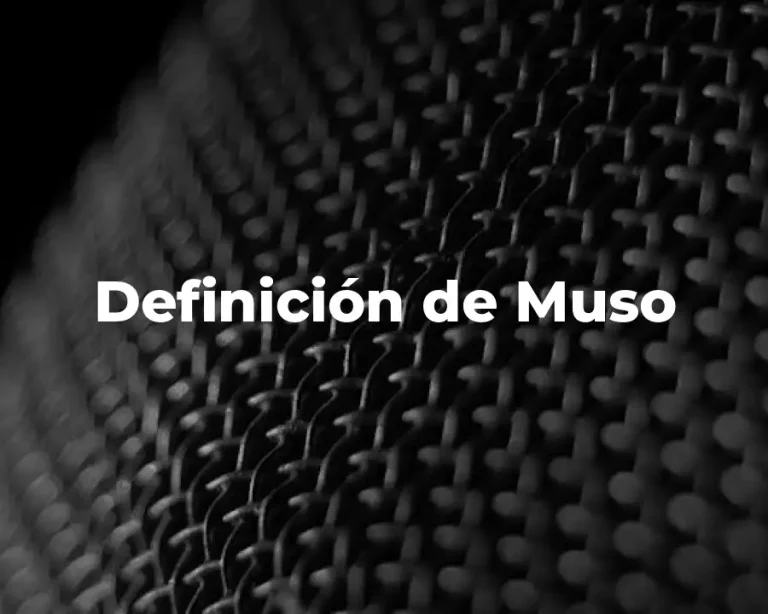 Definición de Muso