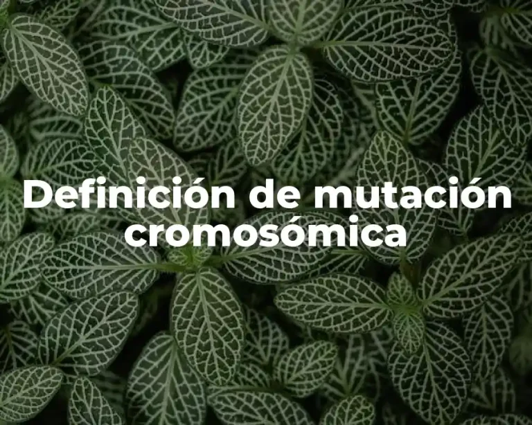 Definición de mutación cromosómica