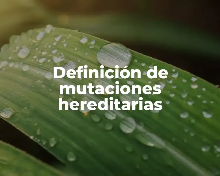Definición de mutaciones hereditarias