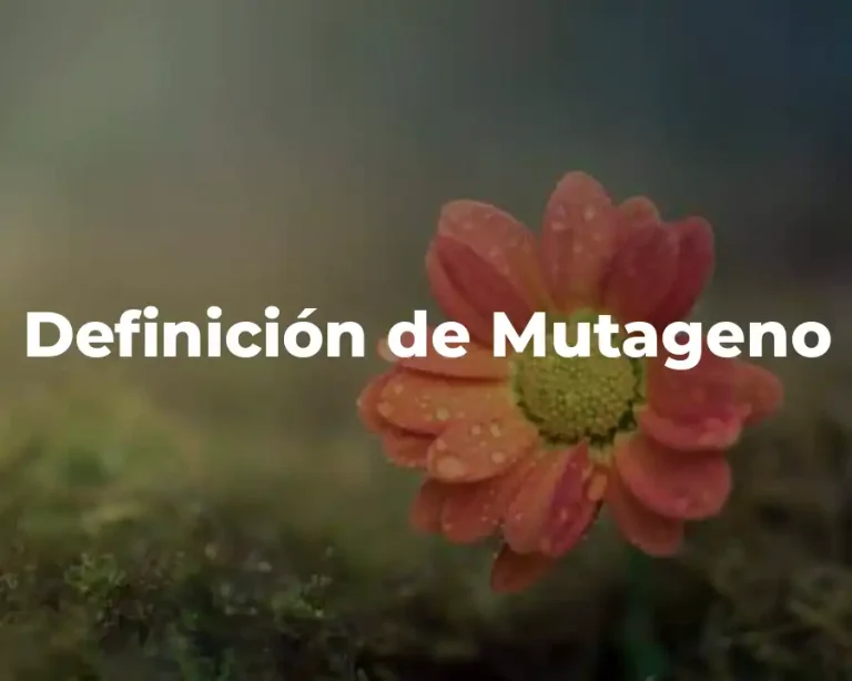 Definición de Mutageno