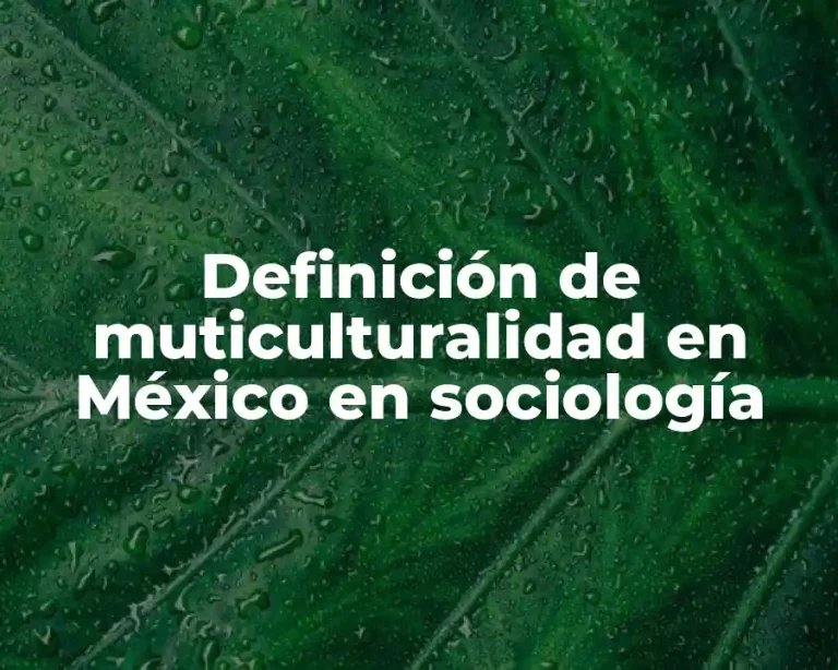 Definición de muticulturalidad en México en sociología