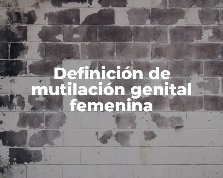 Definición de mutilación genital femenina