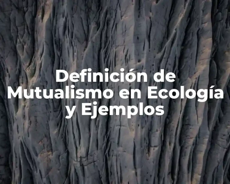 Definición de Mutualismo en Ecología y Ejemplos