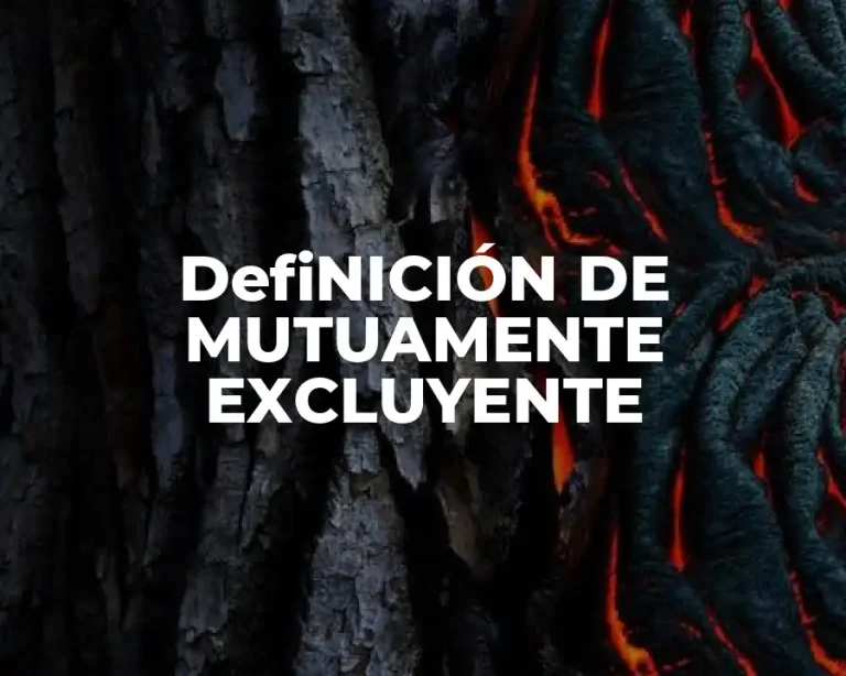 DefiNICIÓN DE MUTUAMENTE EXCLUYENTE