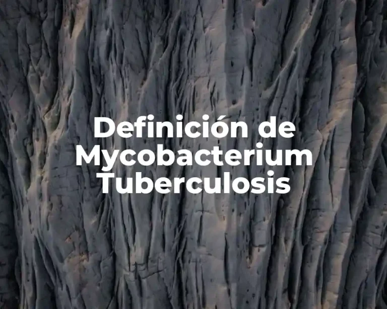 Definición de Mycobacterium Tuberculosis