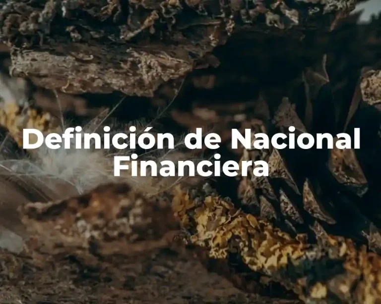 Definición de Nacional Financiera