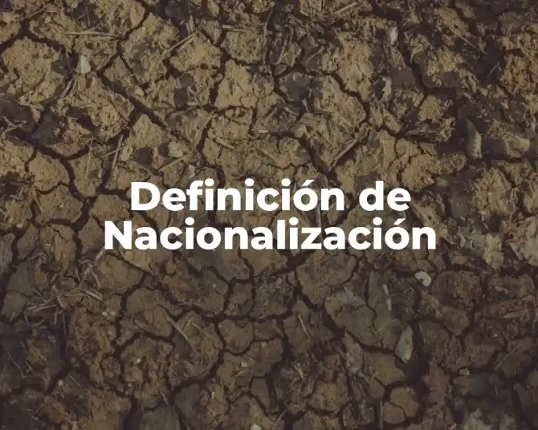 Definición de Nacionalización