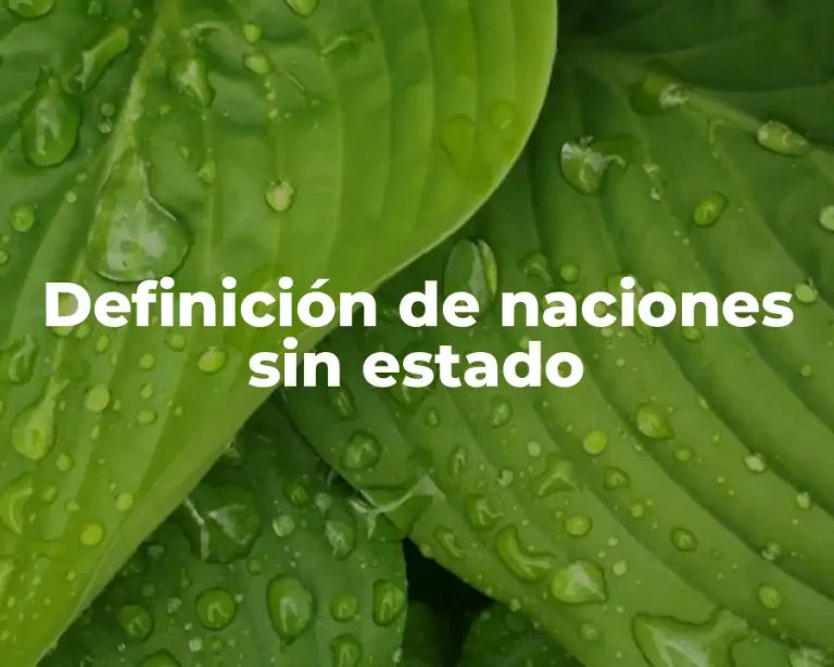 Definición de naciones sin estado
