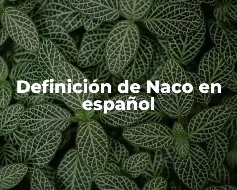Definición de Naco en español