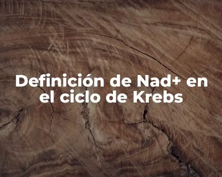 Definición de Nad+ en el ciclo de Krebs