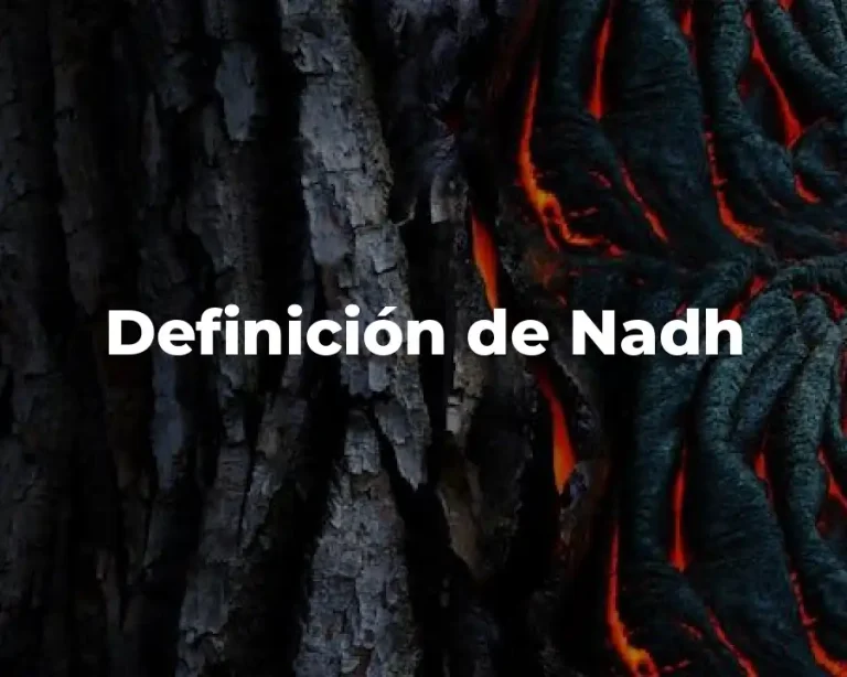 Definición de Nadh