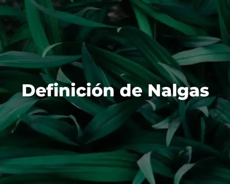 Definición de Nalgas