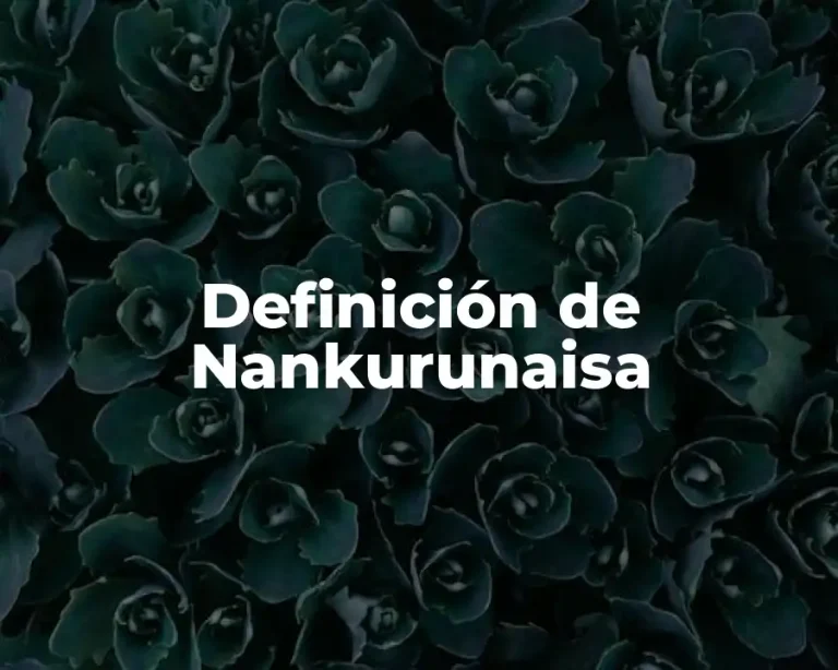 Definición de Nankurunaisa