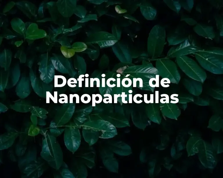 Definición de Nanoparticulas
