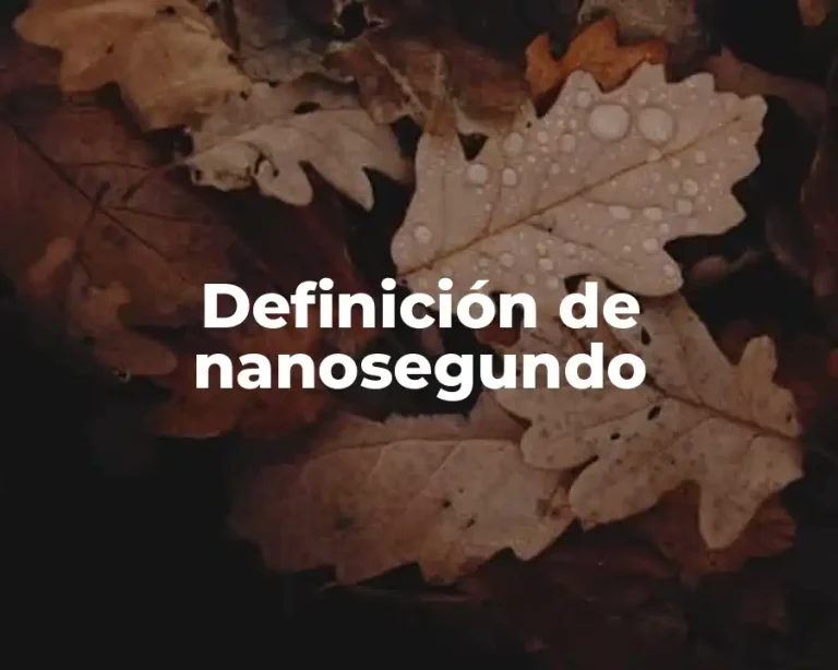 Definición de nanosegundo