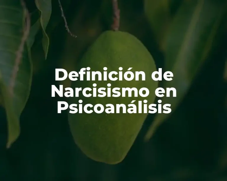 Definición de Narcisismo en Psicoanálisis