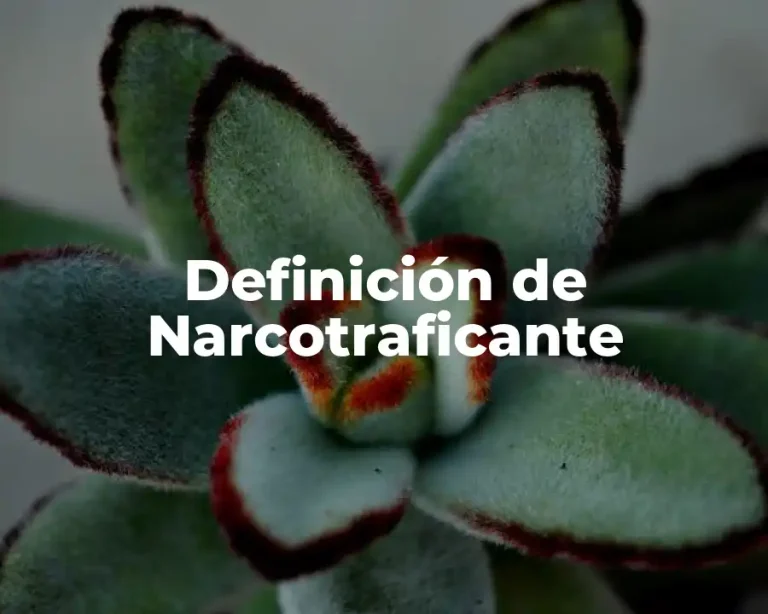 Definición de Narcotraficante