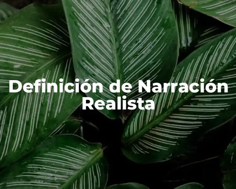 Definición de Narración Realista
