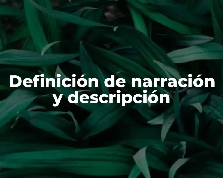 Definición de narración y descripción