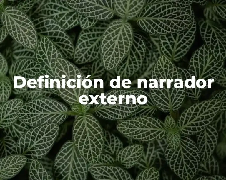 Definición de narrador externo