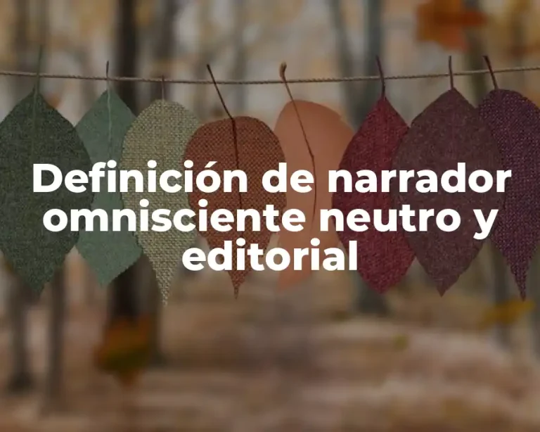 Definición de narrador omnisciente neutro y editorial