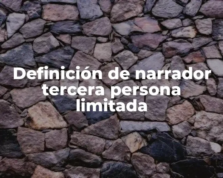 Definición de narrador tercera persona limitada
