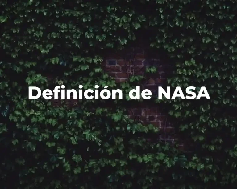 Definición de NASA