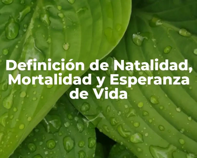 Definición de Natalidad, Mortalidad y Esperanza de Vida