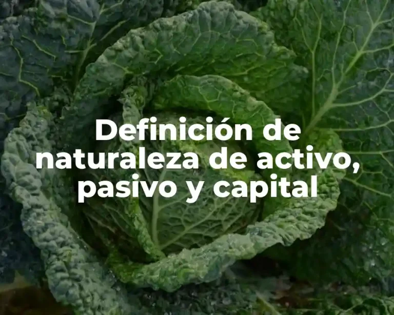 Definición de naturaleza de activo, pasivo y capital