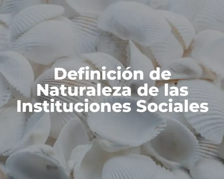 Definición de Naturaleza de las Instituciones Sociales