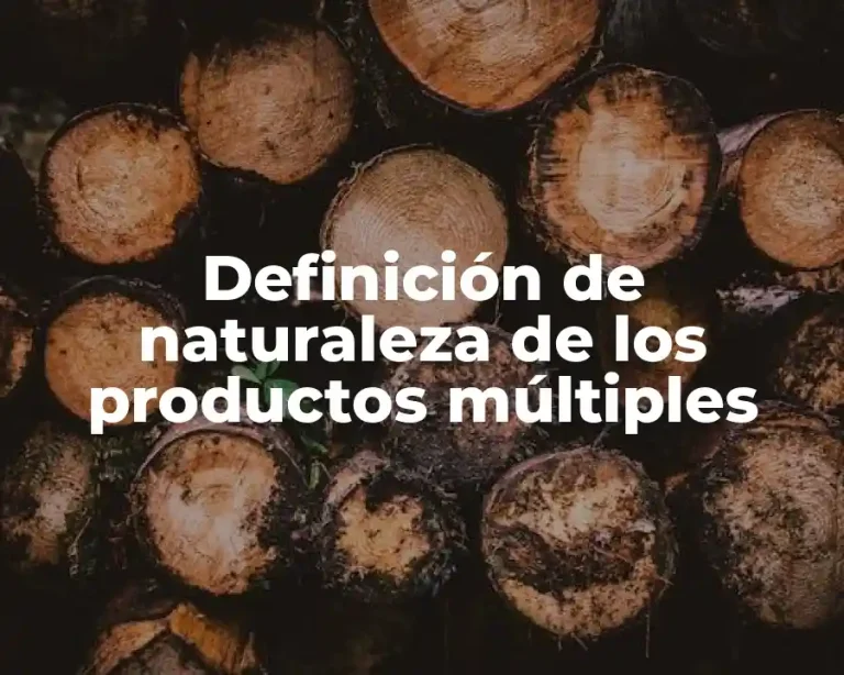 Definición de naturaleza de los productos múltiples