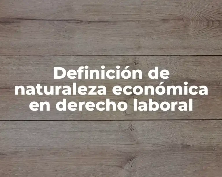 Definición de naturaleza económica en derecho laboral