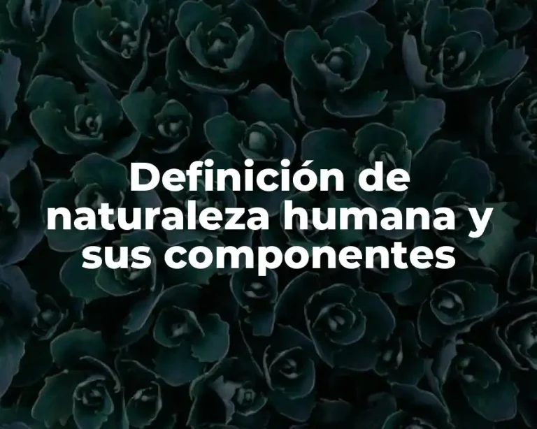 Definición de naturaleza humana y sus componentes