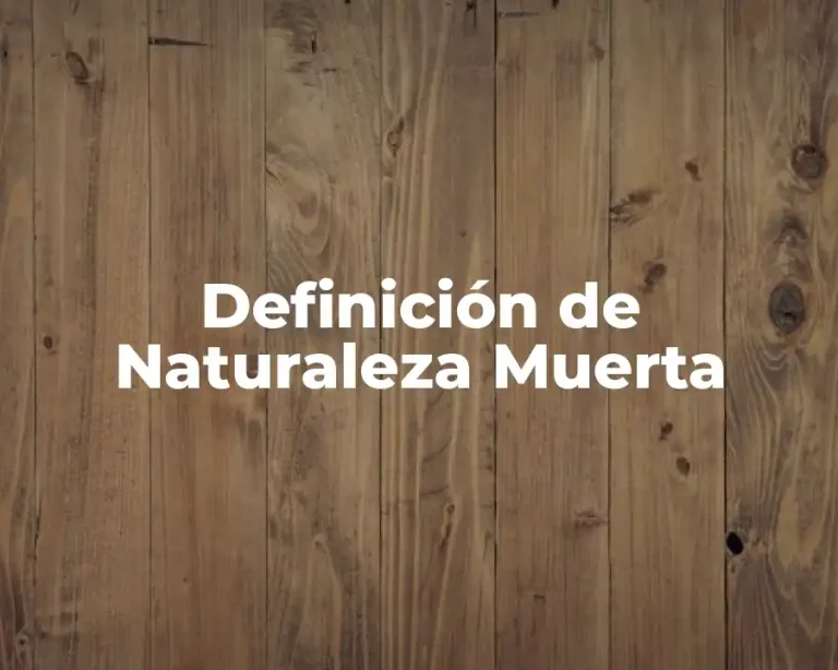 Definición de Naturaleza Muerta