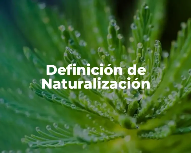 Definición de Naturalización
