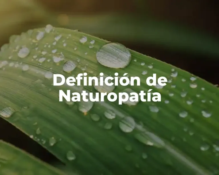 Definición de Naturopatía