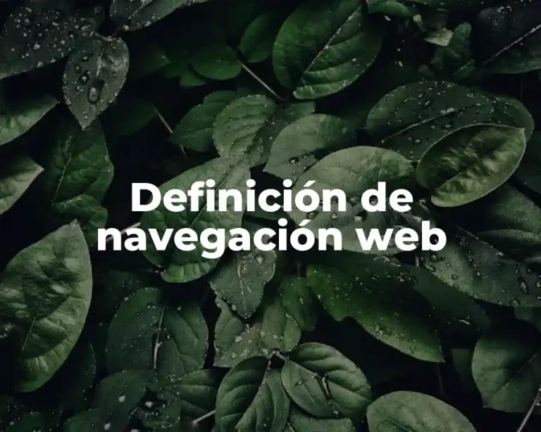 Definición de navegación web