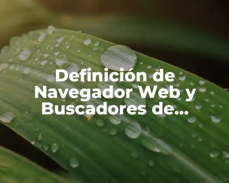 Definición de Navegador Web y Buscadores de Información
