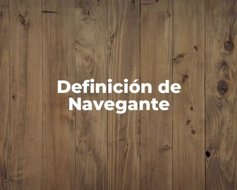 Definición de Navegante