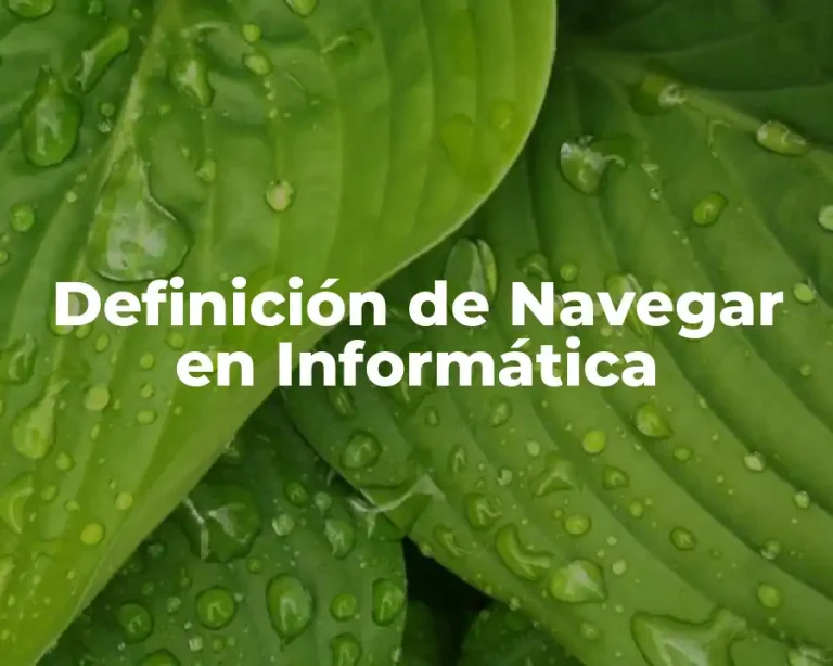 Definición de Navegar en Informática