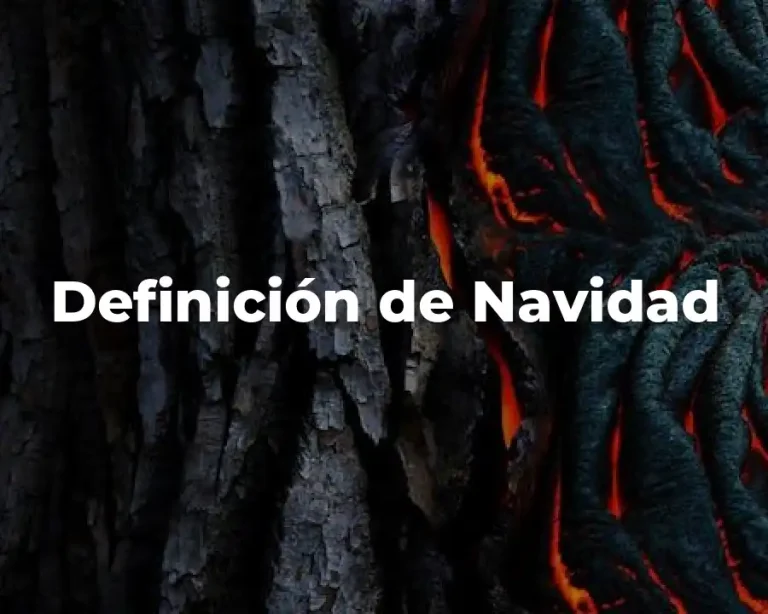 Definición de Navidad