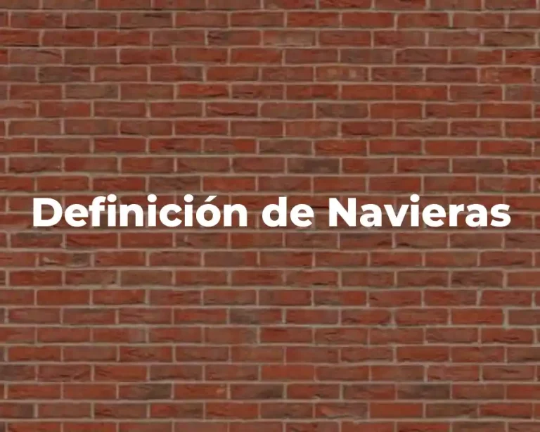 Definición de Navieras