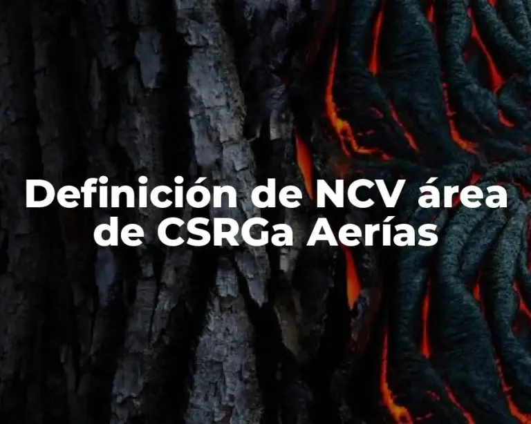 Definición de NCV área de CSRGa Aerías