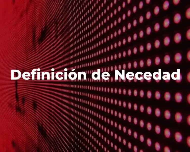 Definición de Necedad