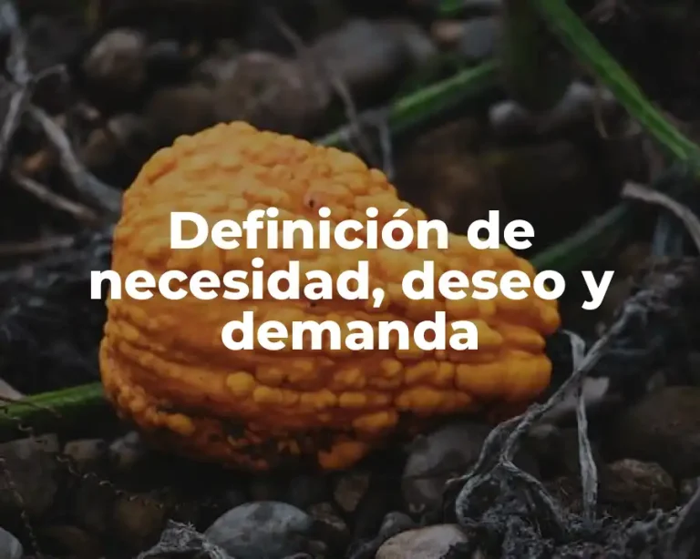 Definición de necesidad, deseo y demanda