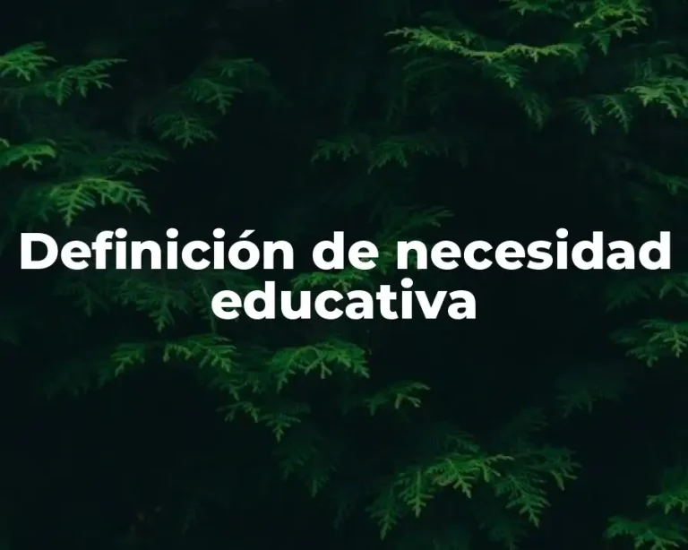 Definición de necesidad educativa