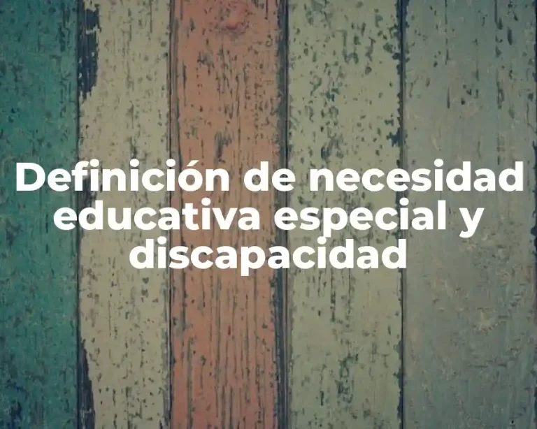 Definición de necesidad educativa especial y discapacidad